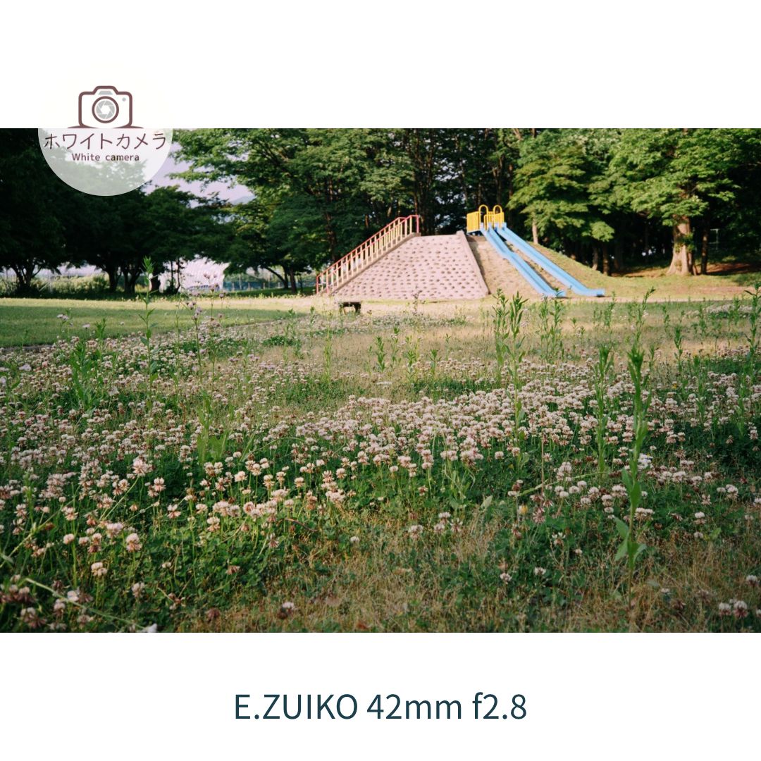 OLYMPUS 35 EC2 作例あり 完動品 撮影例あり OLYMPUS-35 EC2 フィルムカメラ