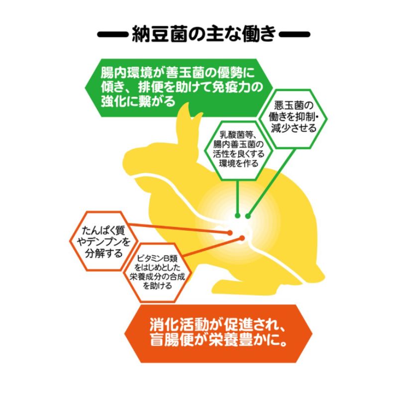 国産 多頭飼い