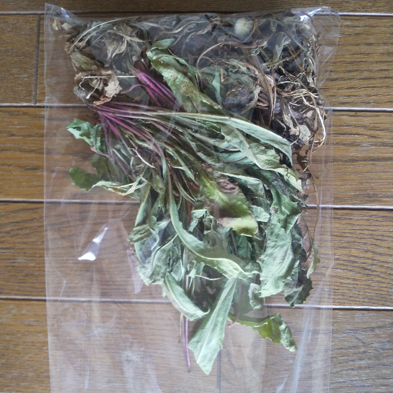 タンポポ 乾燥 簡易包装込み約150g 農薬不使用 - メルカリShops