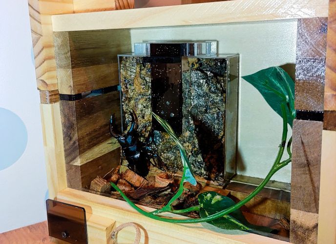 くわウインドウM (樹液ウッド付きセット)