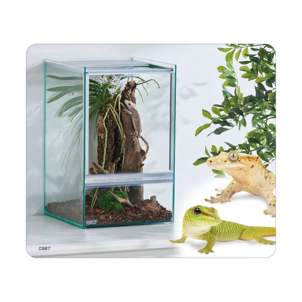 エキゾテラ レプテリア クリアネオ 400Slim 2つセット 【公式通販】