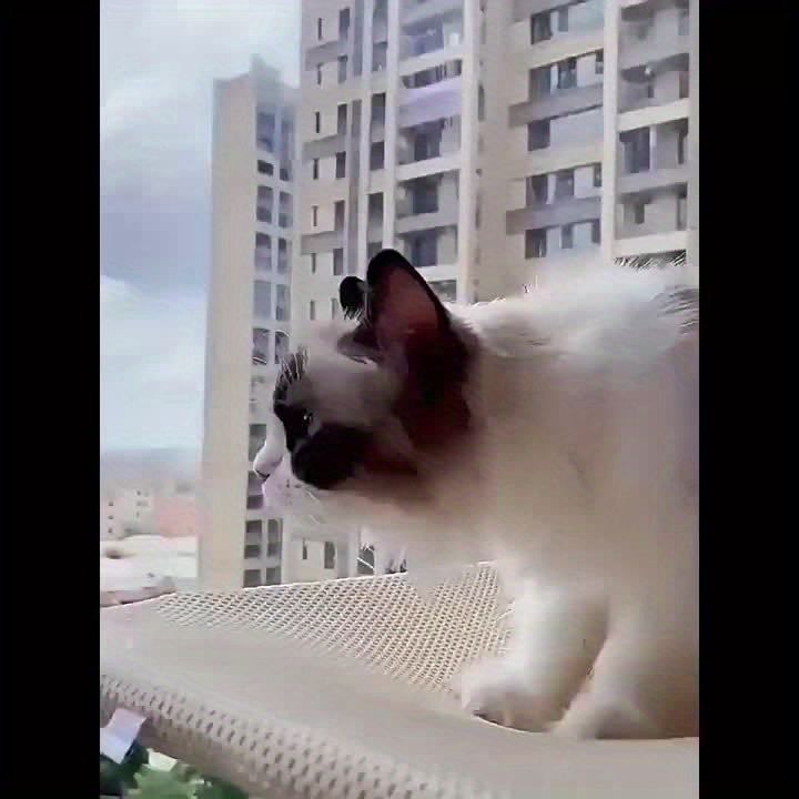 猫窓ペンチコードレス折りたたみ猫 窓フレームとリバーシブルカバー付きハンモックベッド