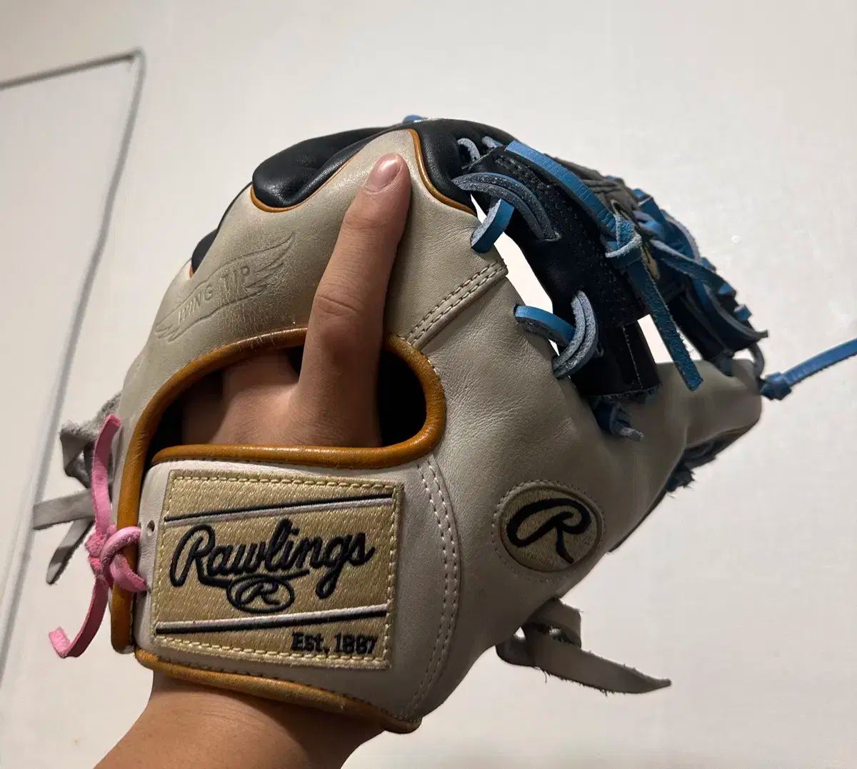 Rawlings ローリングス 内野 グローブ HOH
