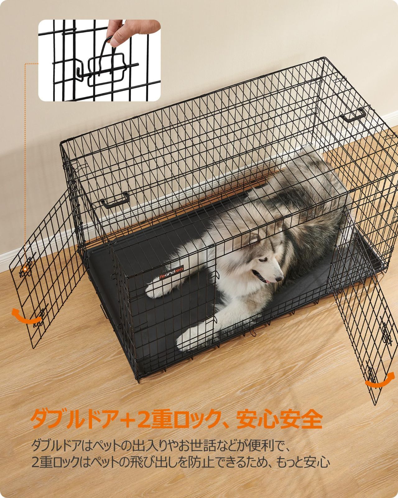 犬 猫
