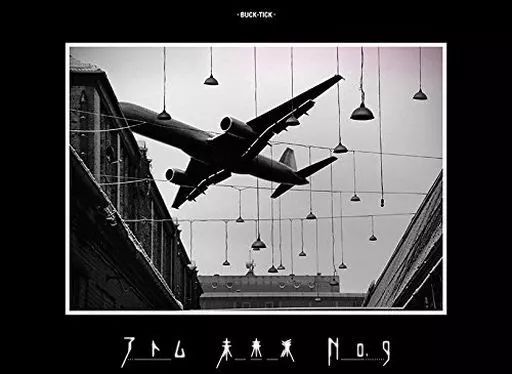 マーラー1番 巨人(ピアノ独奏編曲: 岡城千歳 ) ワルター4手用