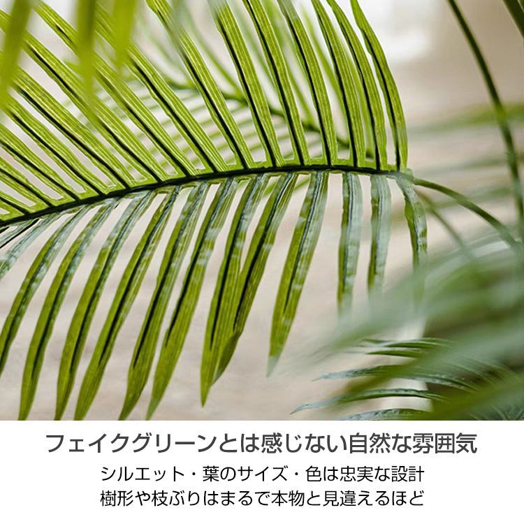 鉢付き プレゼント