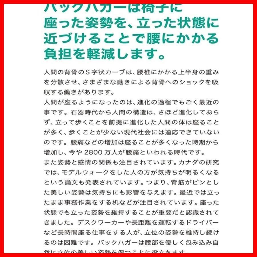 クッション 腰クッション