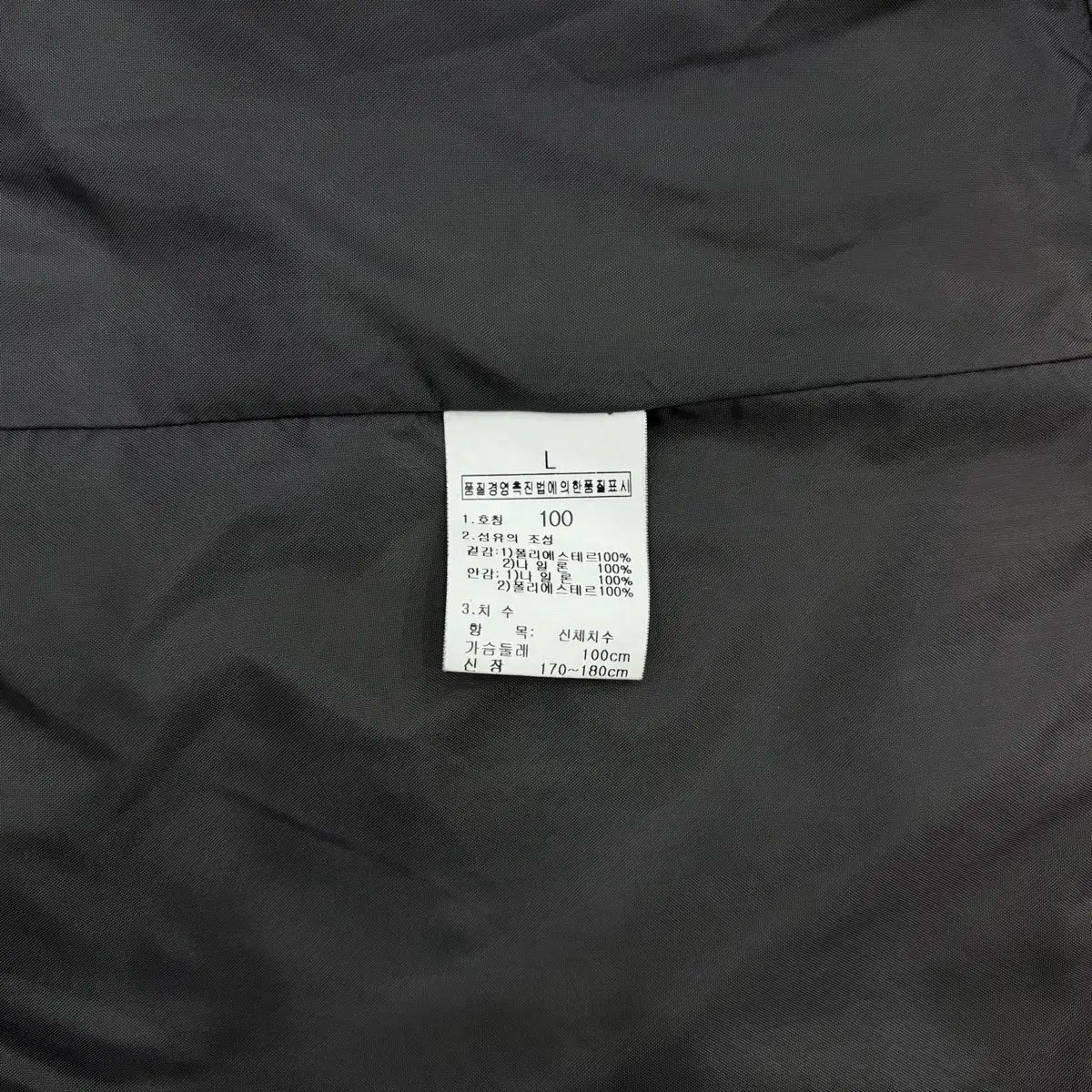 THE NORTH FACE GORE-TEX ウィンドブレーカー フーデッドジップアップ アウター ジャケット メンズ 100 L KANDAIZUMI_COM