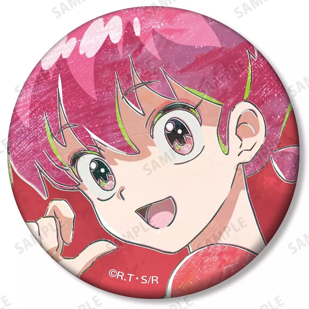 らんま1/2 早乙女らんま　缶バッジ　15点セット らんま1/2 早乙女らんま 缶バッジ 15点セット TVアニメ「らんま1/2