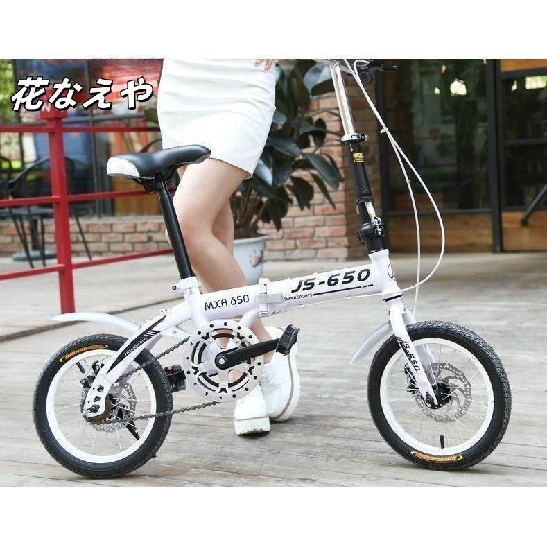 PACIFIC CYCLES 「パシッフィックサイクルズ」 CARRY ME 2009年