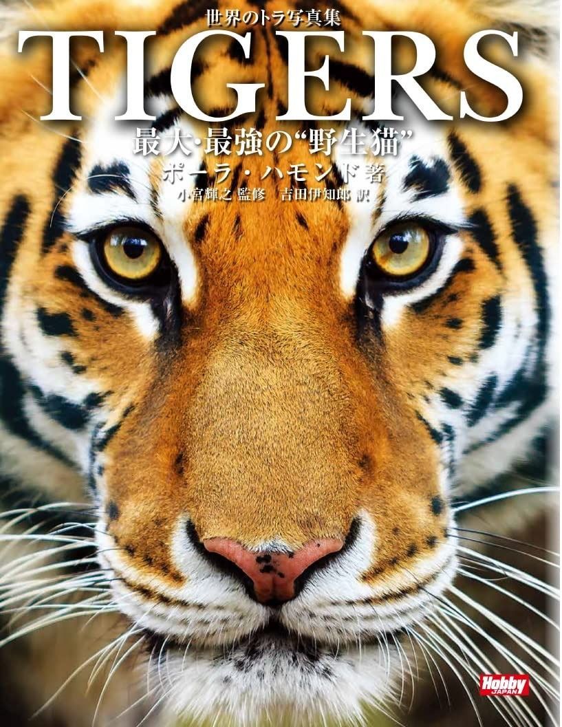 世界のトラ写真集 TIGERS 最大 最強の 野生猫 ﾀﾞﾌﾞﾙｸｫｰﾃ