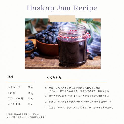 2025年度】北海道 美唄産 冷凍ハスカップ 2kg 【公式通販】