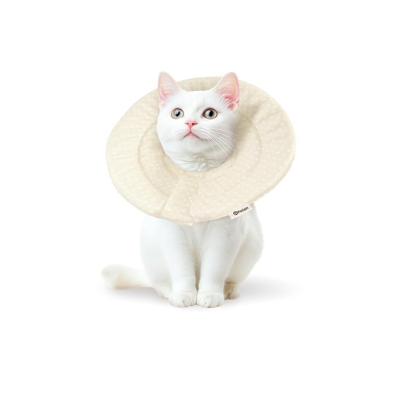 猫を吸いたい【裁断済み】歯のQ&A大全　（表紙カバー無し） Amazon.co.jp: はま寿司 ねこに転生したおじさん ねこおじ