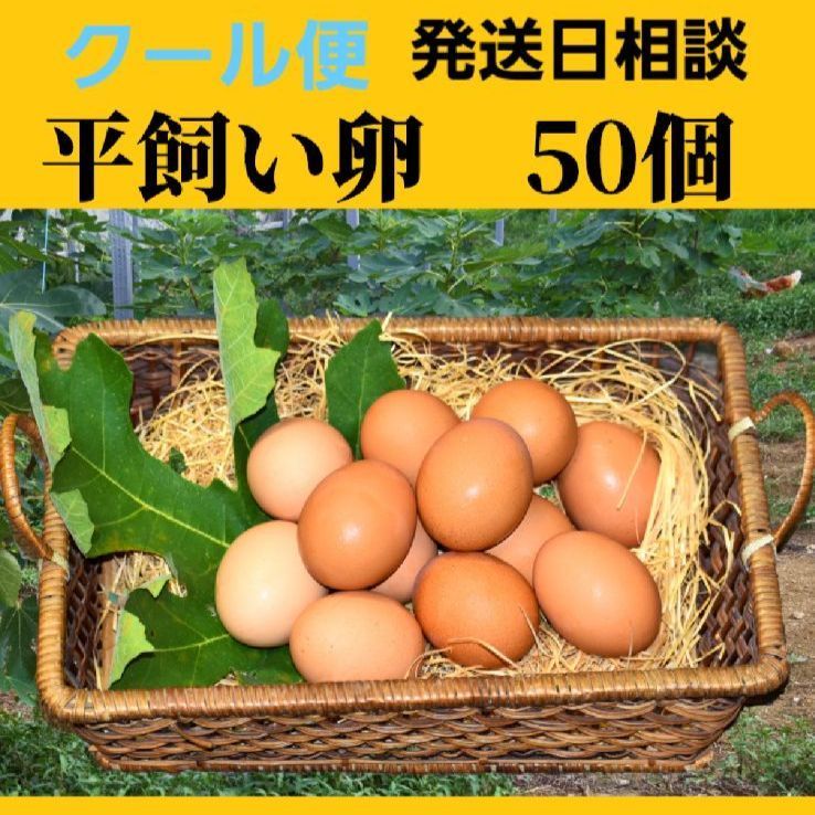 平飼い卵50個 発送日少し先になることあります クール便 - 耕人