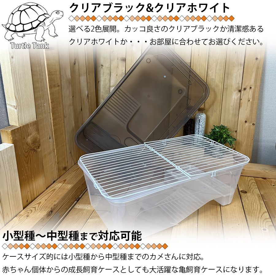 陶器製 染付 唐草 亀 タートル 親子 蓋物 小物入れ 大型サイズ 陶器製 染付 唐草 亀 タートル 親子 蓋物 小物入れ 大型サイズ
