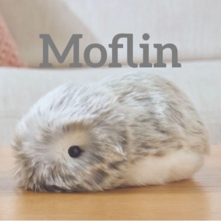 未開封 Moflin CASIO製 シルバー AIペット型ロボット