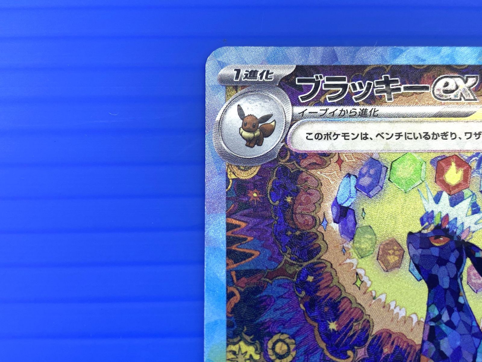 PSA9 ブラッキー EX SAR テラスタルフェス