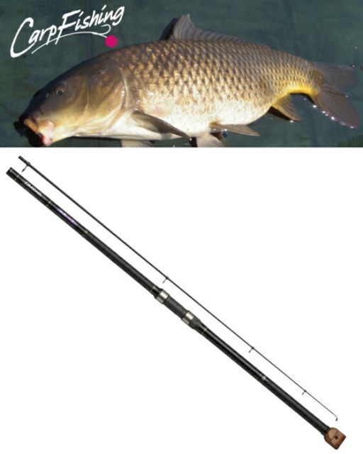 ダイワ 大鯉専科 MH485遠投・N / 鯉竿 釣具 daiwa - メルカリ