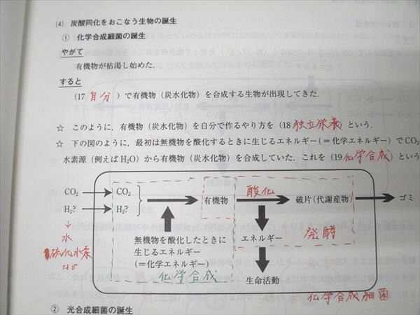 代々木ゼミナール 代ゼミ 大堀求編【単元別】高校生物 Vol.1〜8 生命と分子・代謝/生態系・進化と系統等 計8冊 033M0D Amazon.co.jp: VE02-081 代ゼミ 単元別 高校生物Vol.1～8 生態系