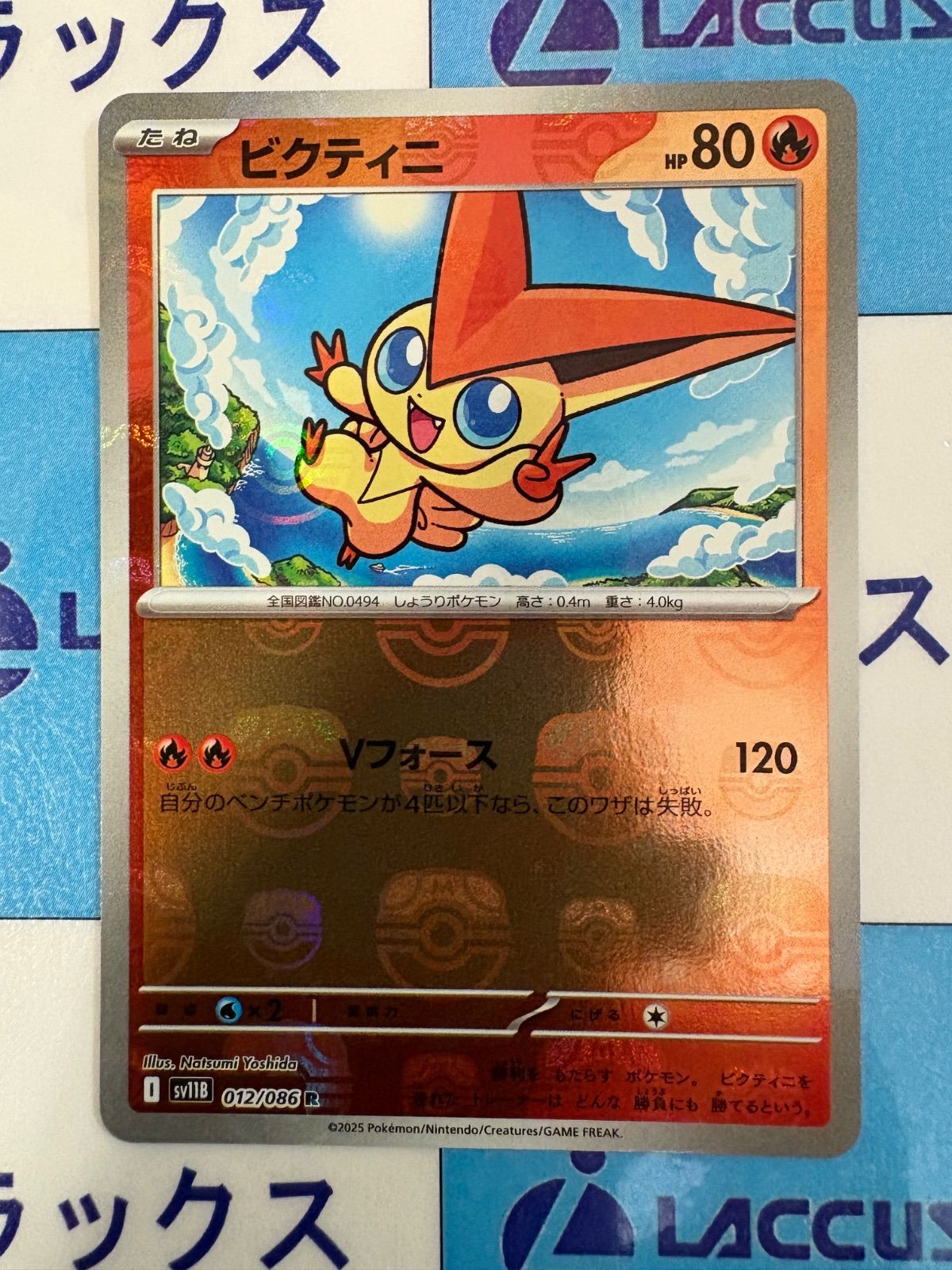 ポケモンカード/ポケカ ホワイトフレア/ブラックボルト
