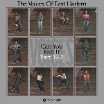 洋楽 CAN YOU FEEL IT  VOICES OF EAST HARLEM The Voices Of East Harlem ‎– Can You Feel It ℗ 1974 - YouTube
