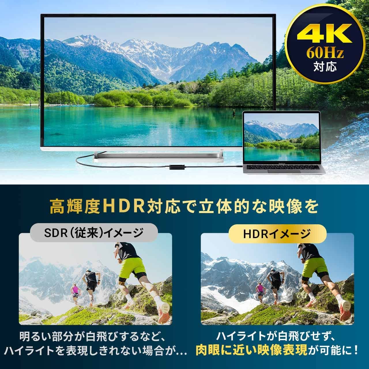 サンワダイレクト Type-C HDMI 変換アダプタ 4K/60Hz HDR対応 PD100W iPad/Switch 有機ELモデル対応 ケーブル長20cm ブラック 500-KC038 [4K/60Hz対応]