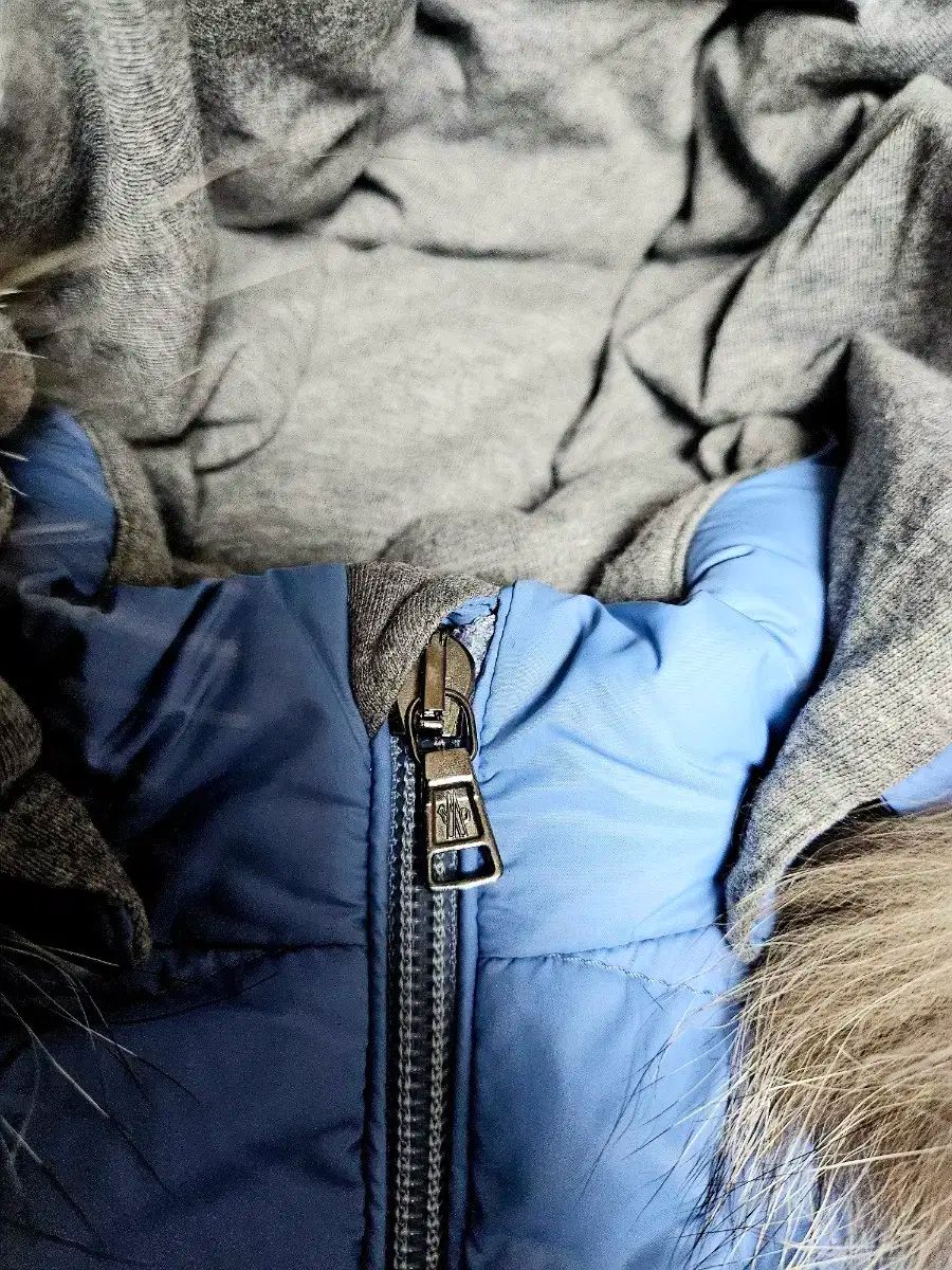 ボディスーツ 宇宙服