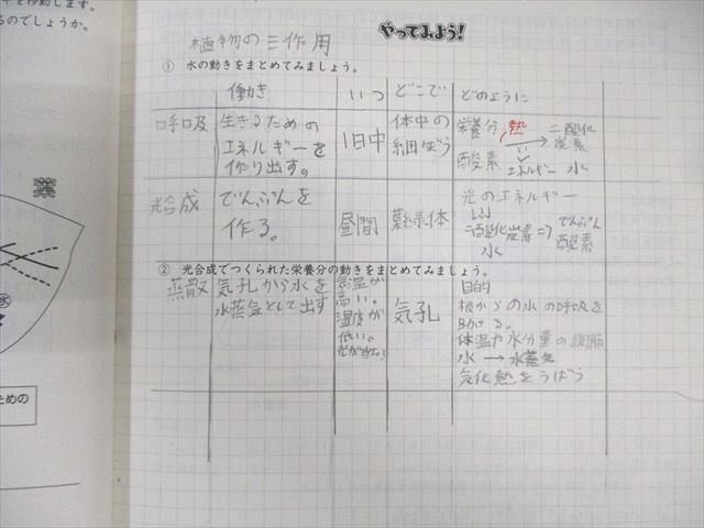日能研 小6 中学受験用 6年 ステージ 本科⁄合格力完成教室⁄栄冠への道
