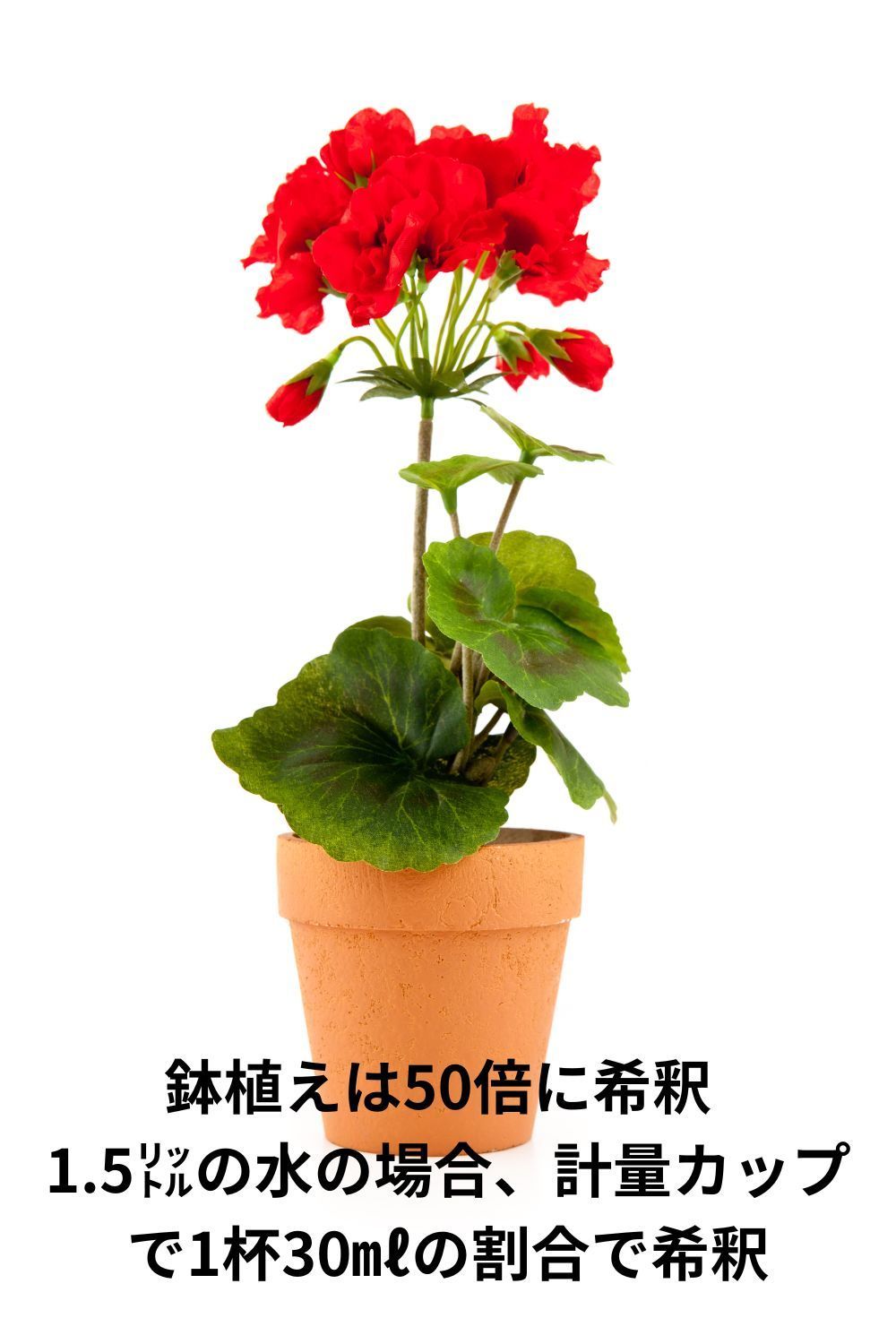 3本セット