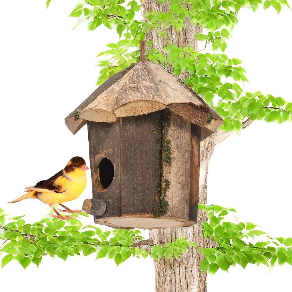 鳥の巣