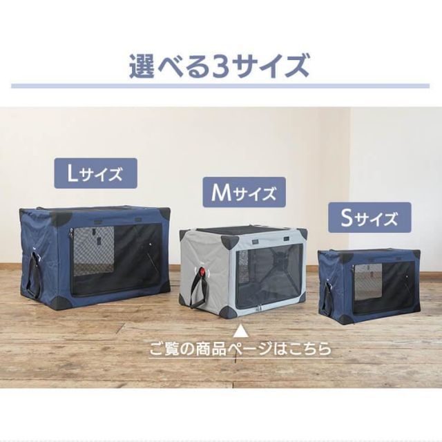 猫 小動物
