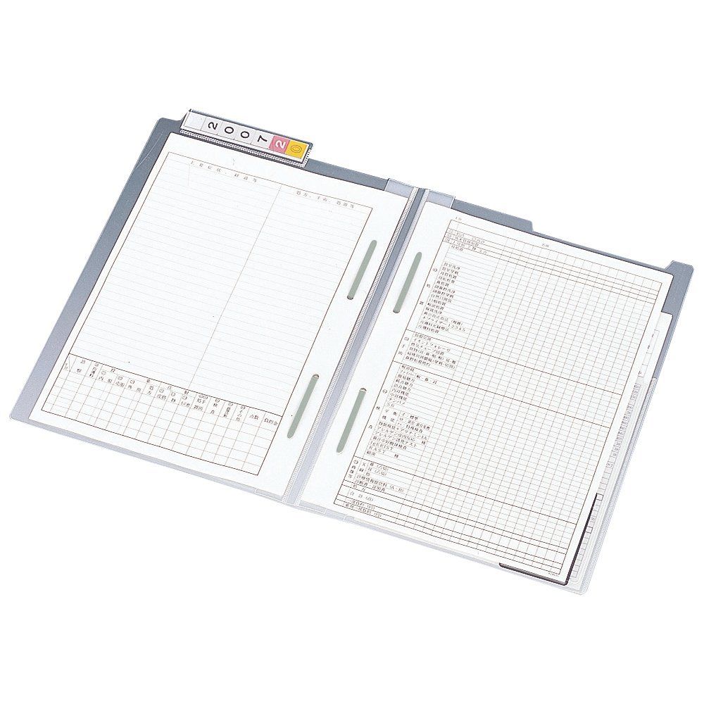 （まとめ買い）リヒトラブ カルテフォルダー ダブルファスナー付 A4 HK720U 【×3セット】