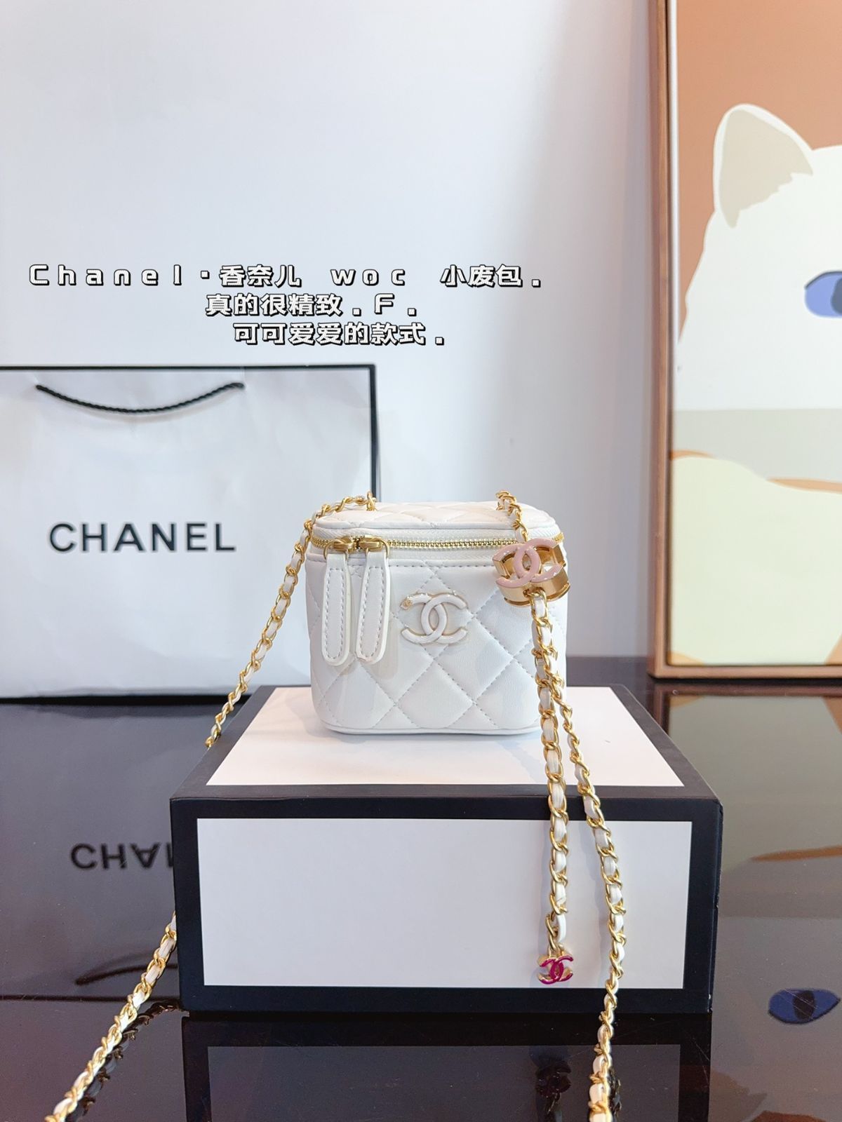 CHANELエナメルポシェット　日本未入荷　パリ店購入 org.jpg