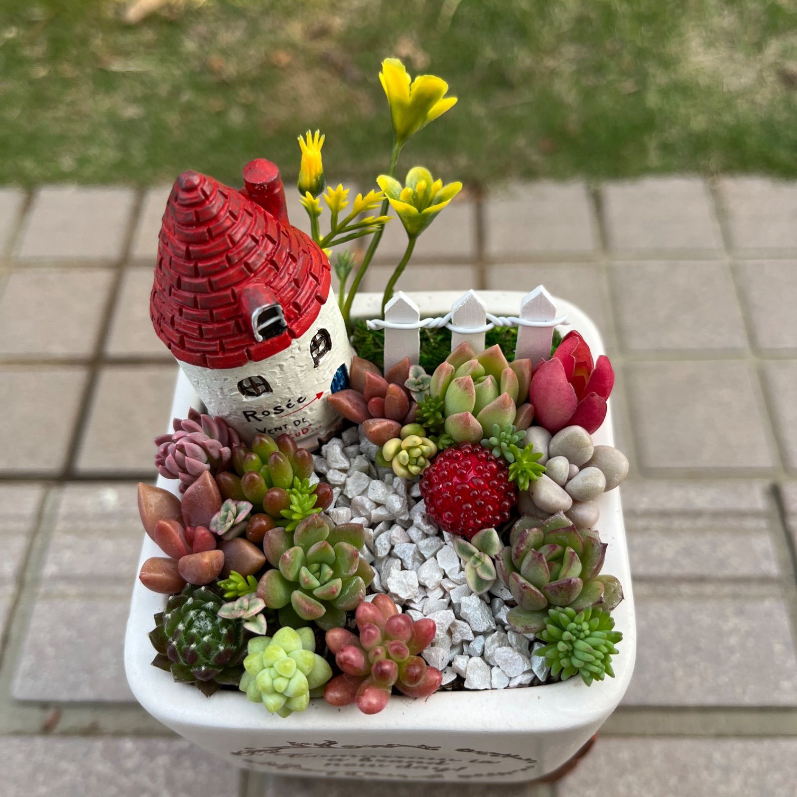♡そのまま飾れる♡陶器鉢♬ヨーロピアンガーデンの箱庭風多肉植物寄せ 