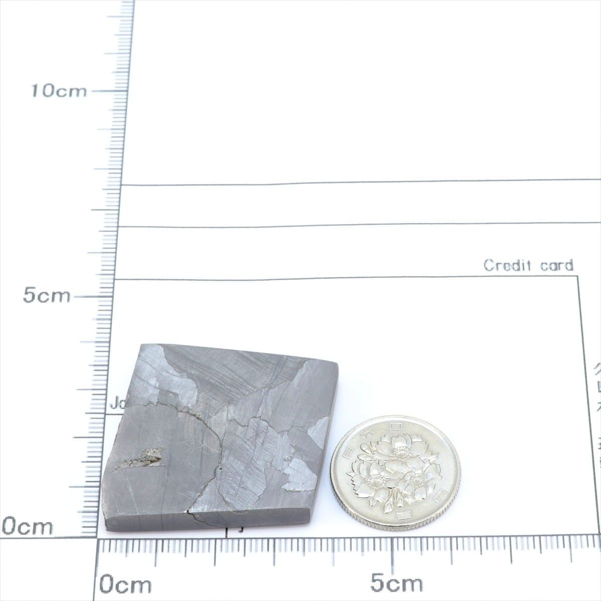 シホテアリン 隕石 53.7g シホテアリニ オクタヘドライト 鉄隕石 標本