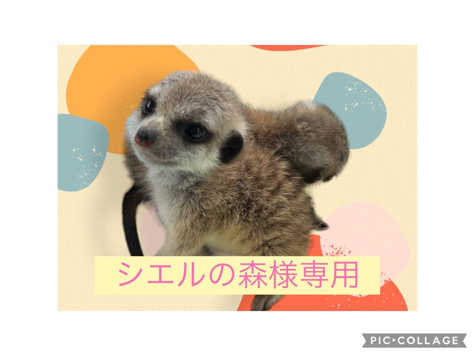 シエルの森様専用 - メルカリ