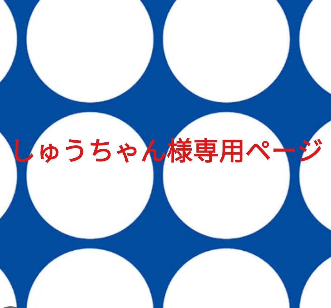 しゅうちゃん様専用ページです。