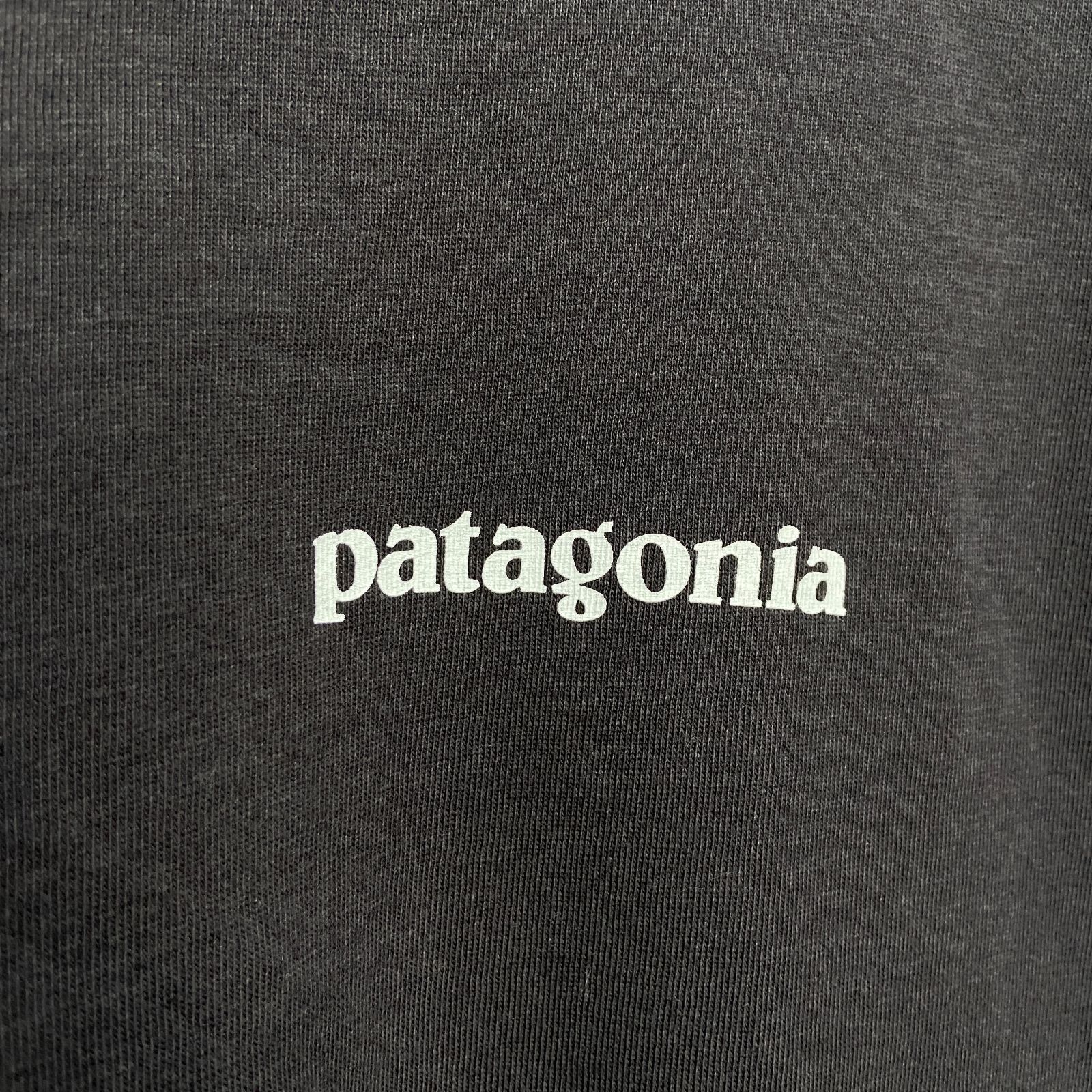 ☆patagonia☆パタゴニア☆P-6☆プリントTシャツ☆バックプリント 