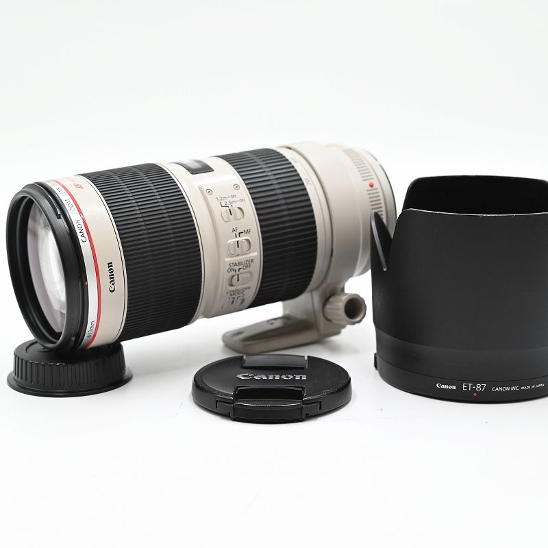 Nikon D5500 本体とレンズ2本 ニコン D5500 ＋レンズ2本 ＋SDメモリーカード