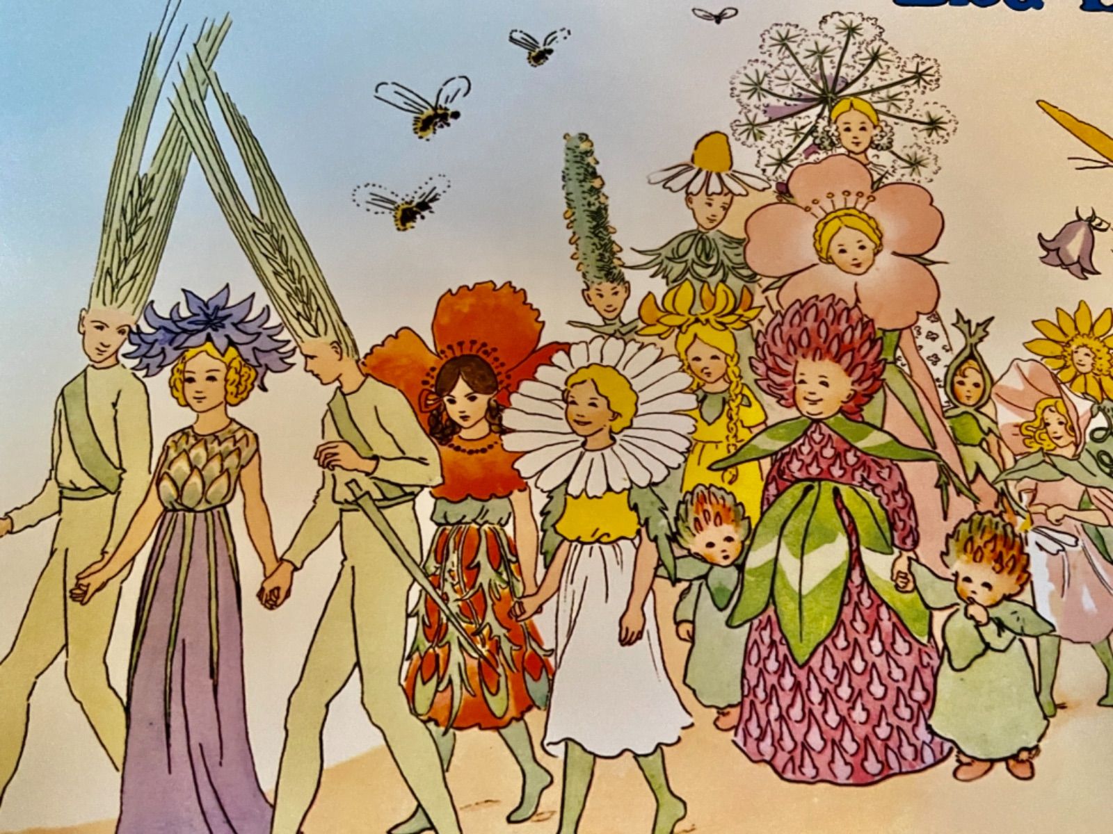 エルサベスコフ デザインハウス ストックホルム コーンフラワー 楽天