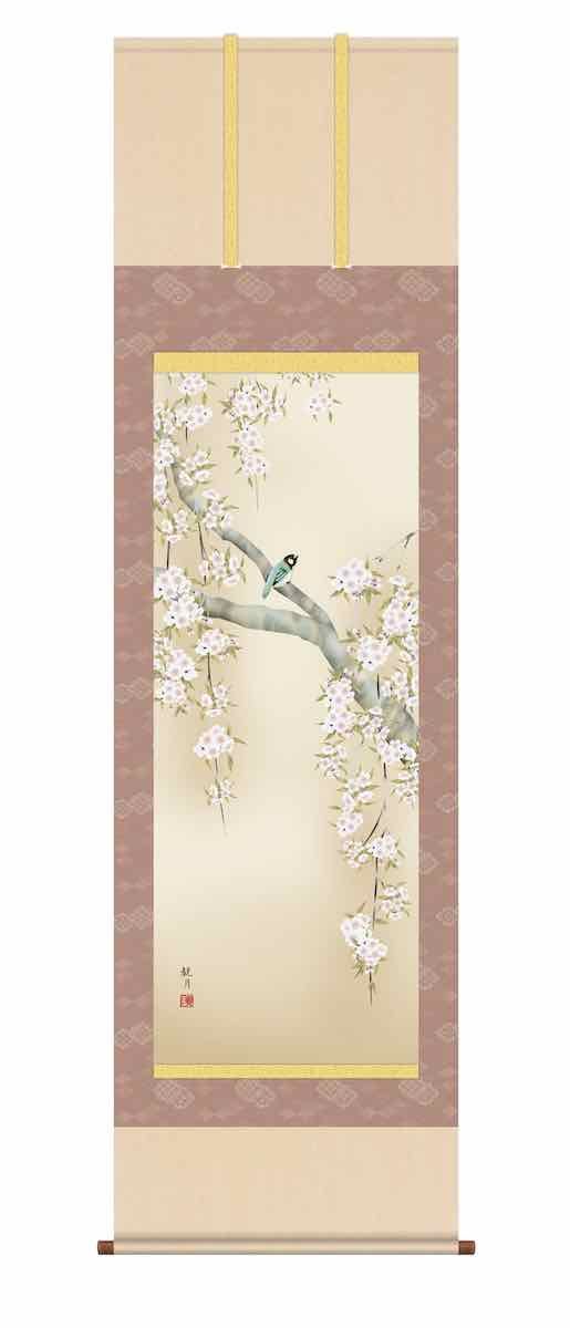 10年保証 掛け軸 花鳥画 春掛け 桜花に小鳥 森山 観月 尺五 桐