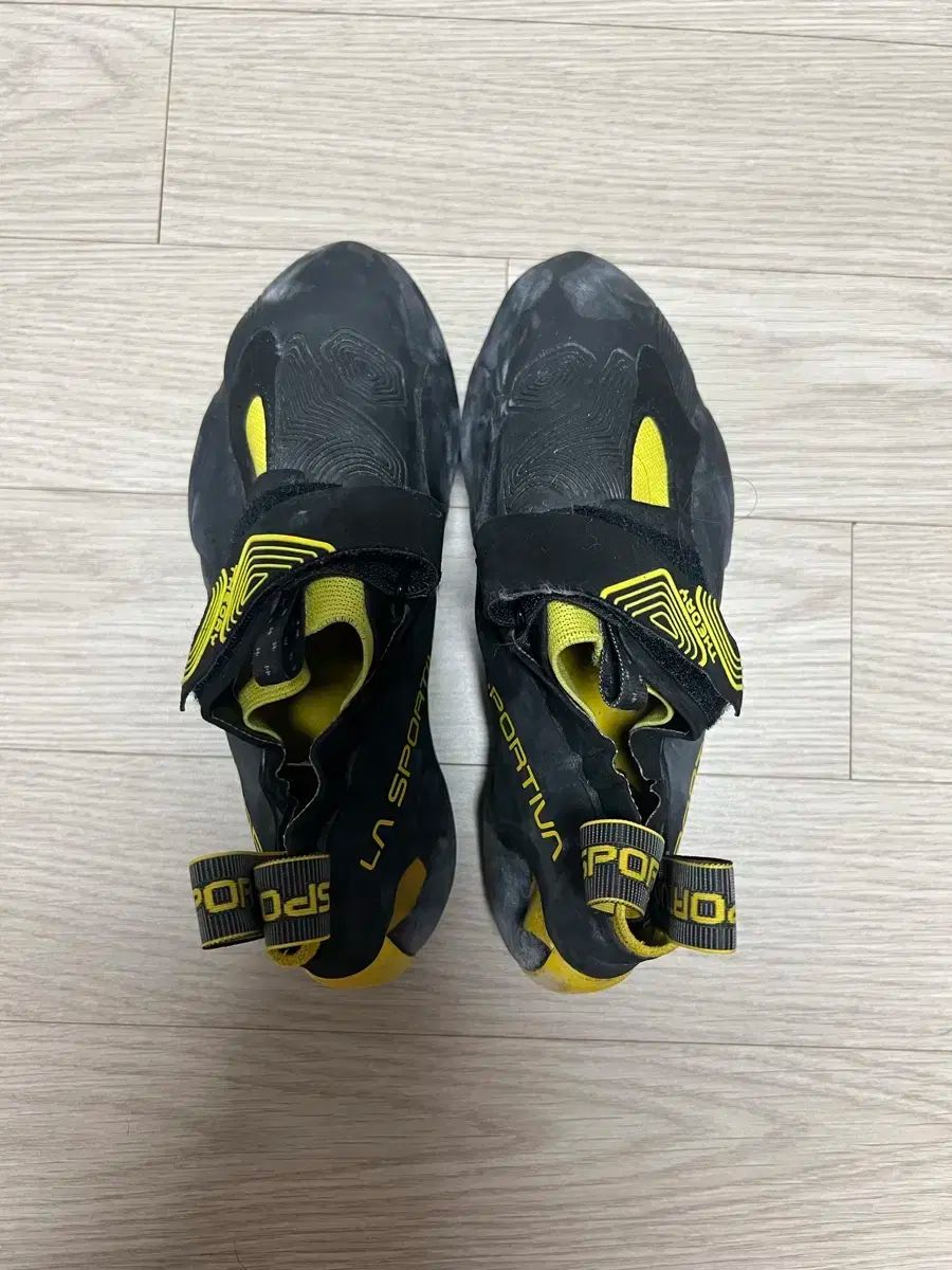 ラス ポルティバ Theory セオリー 41 5 登山 クライミングシューズ