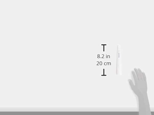 売切注意 お急ぎ下さい BF-BG01N-W 乾電池エボルタNEO付 LED懐中電灯 パナソニック WWW_KANDAIZUMI_COM