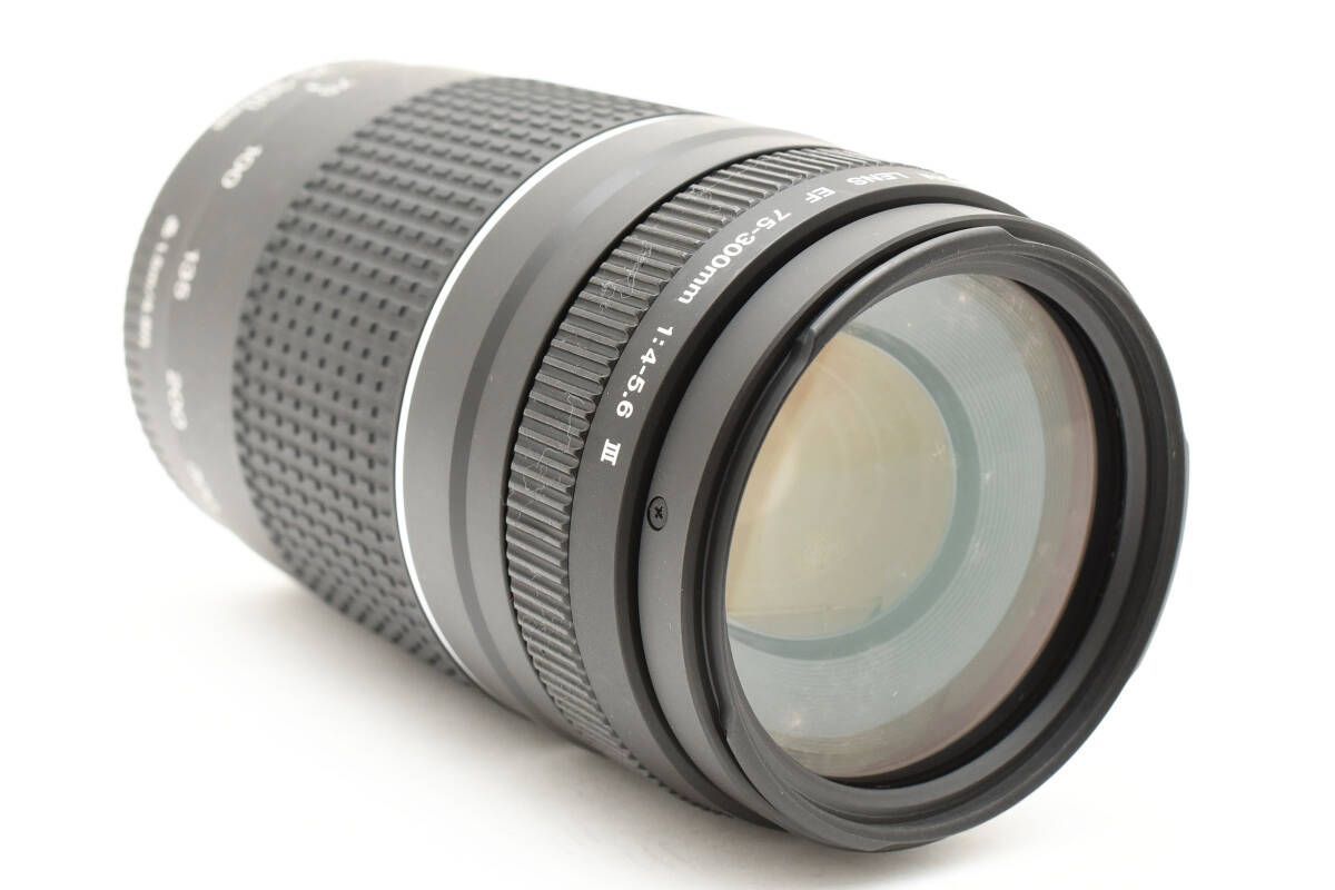 ★キャノン Canon EF 75-300mm F4-5.6 Ⅲ★ K220 #1829