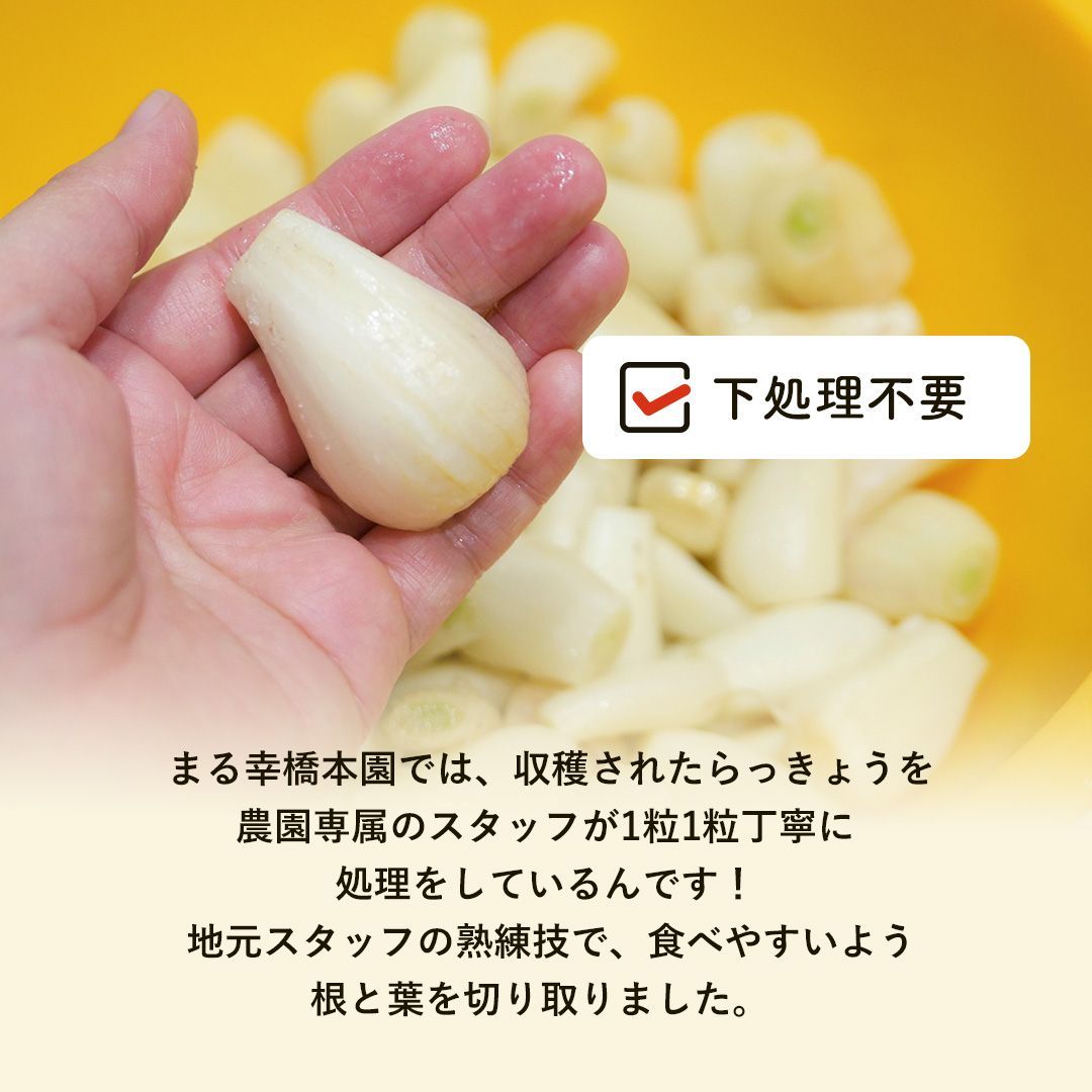 10kg 1Kg×10袋