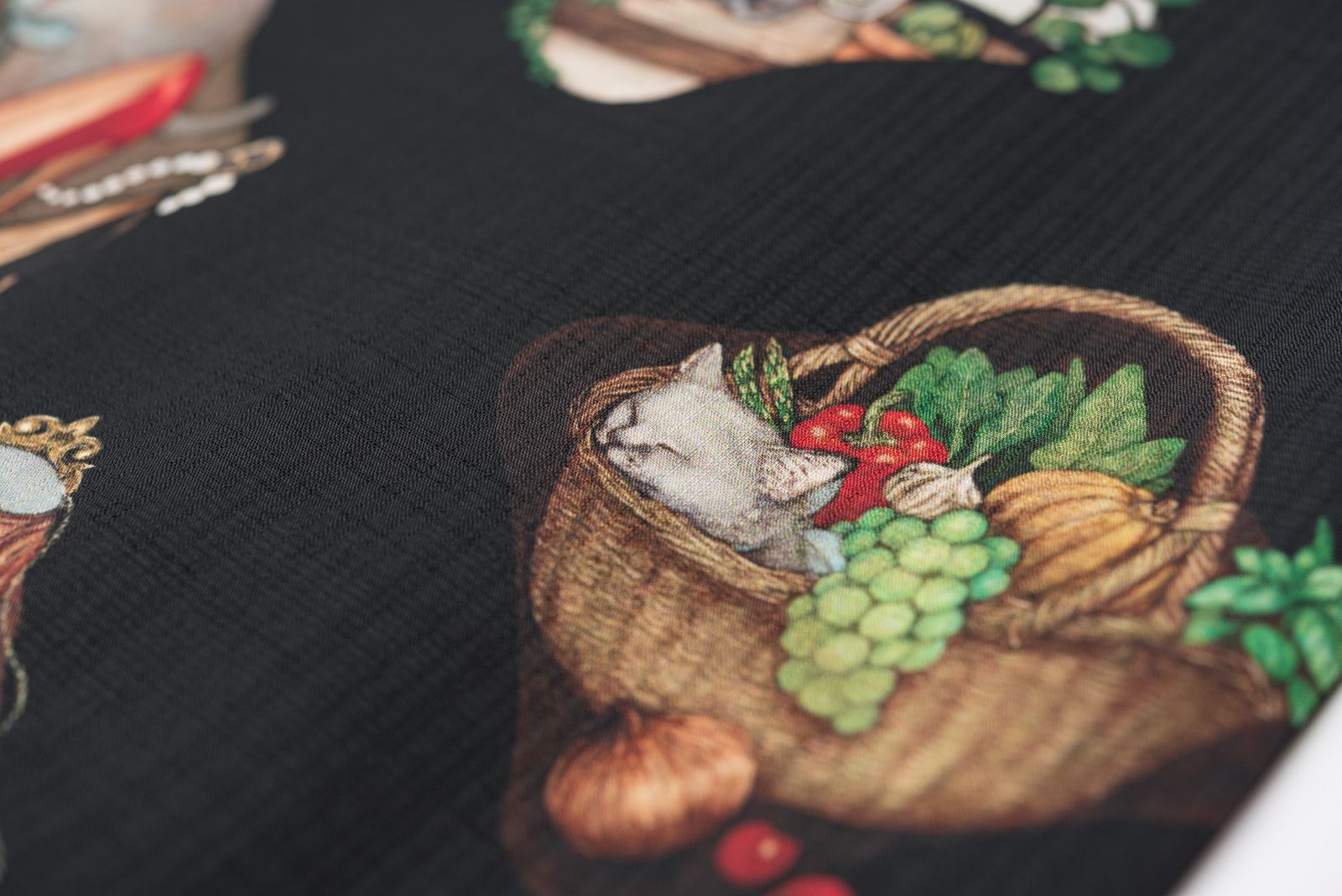 猫のサーシャ