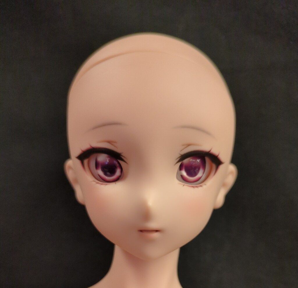 ボークス ドリームチョイス DD DC-H-24 タンスキン