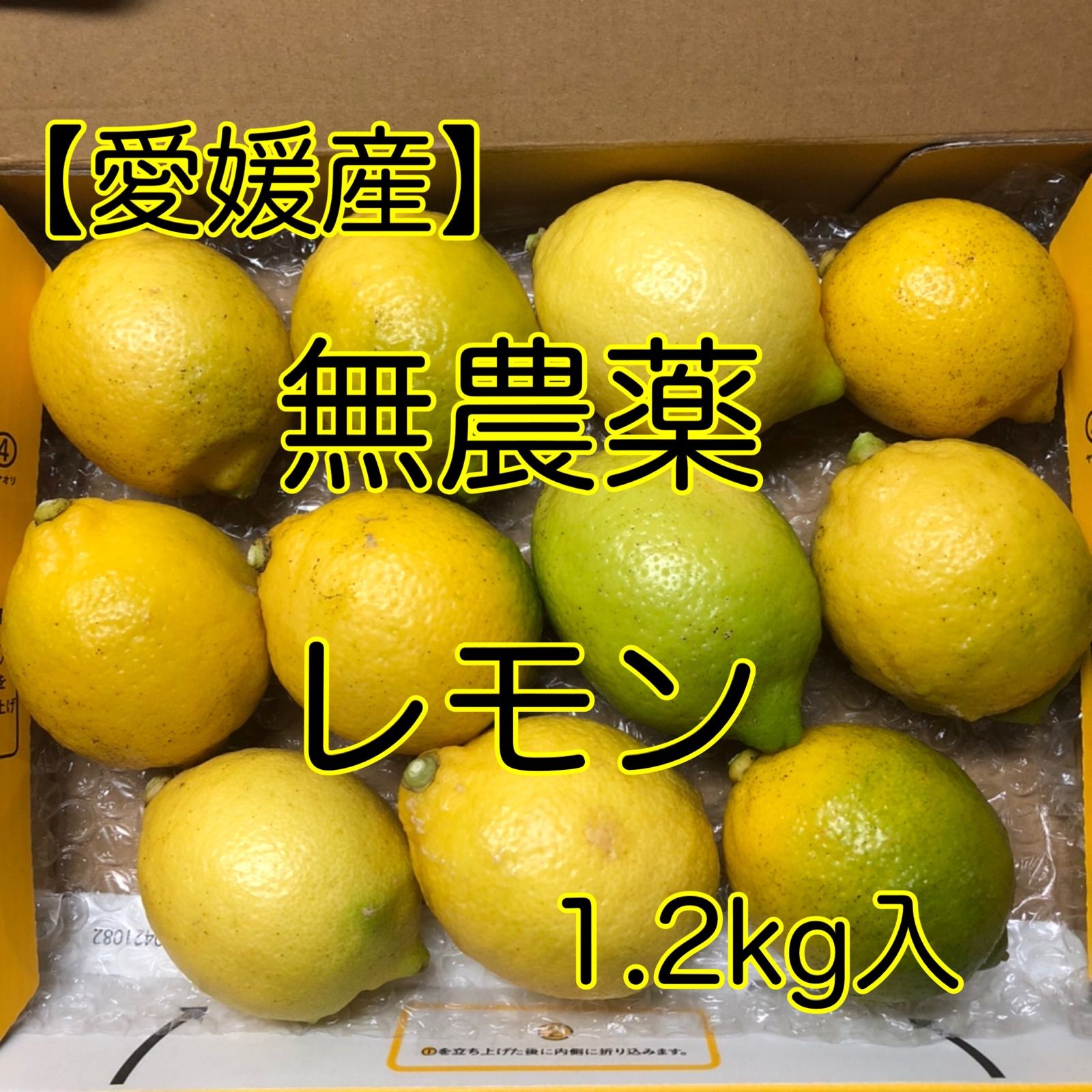 レモン 無農薬 1.2kg - 果物