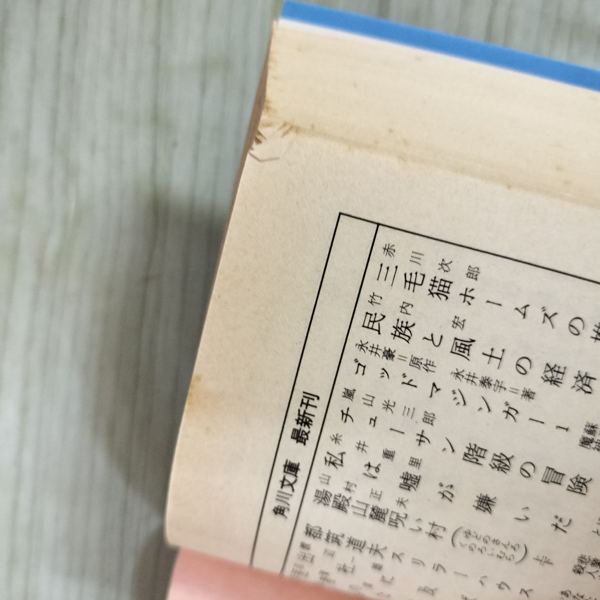 全10巻揃い 全初版 全巻帯付 少年王者 山川惣治 050064 - メルカリ