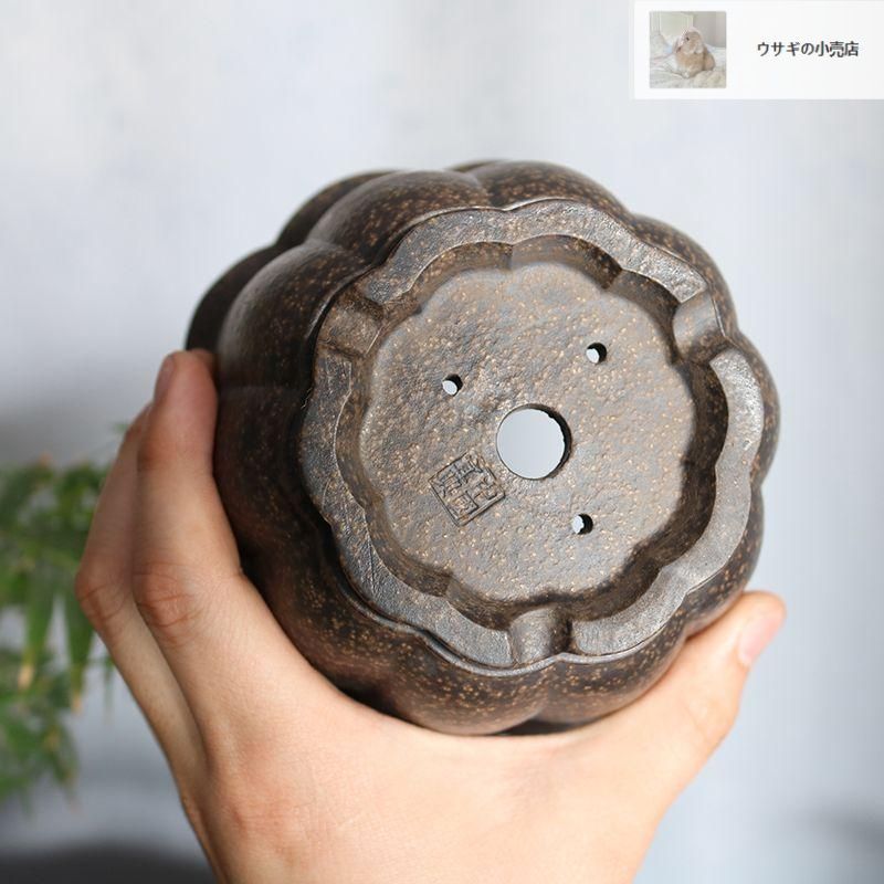 蓮華盆 紫砂盆鉢 盆栽鉢 植木鉢 小品盆栽鉢 大品盆栽鉢 - メルカリ
